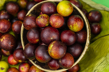 camu camu fruits, Myrciaria dubia, exotic fruit from the Amazon that grows on the banks of rivers, it is highly appreciated for its flavor, it is considered the fruit with the most vitamin C