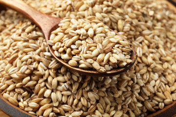 Wooden spoon with dry pearl barley, closeup