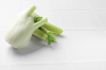 Fresh raw fennel bulbs on white table. Space for text