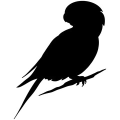 Black Parrot Hand drawn watercolor illustration of forest Bird and woodland plant on white isolated background. For Baby  greeting cards or childish invitations