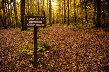 Wooden Sign Points Traffic Right on Loop Road