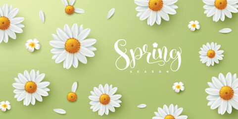 Spring season text greeting vector design. Spring season text in green background with daisy blooming and plumeria flowers elements decoration. Vector illustration spring greeting card banner.
 - obrazy, fototapety, plakaty