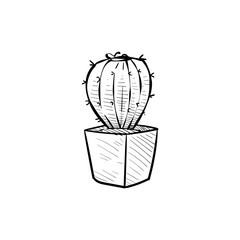 Fototapeta na wymiar cactus plant handdrawn illustration