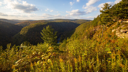 Fall foliage at Leonard Harrison State Park in an afternoon. Pine Creek Gorge, the Grand Canyon of Pennsylvania.