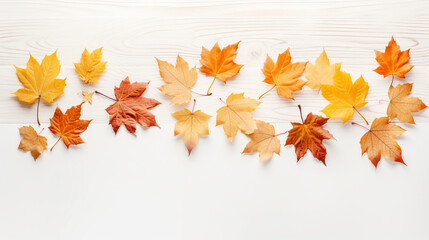 autumn, leaf, fall, leaves