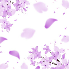 Sakura Branch Frame. Cherry Blossom Border. Flower Petals Background. Spring Floral Falling Clipart.