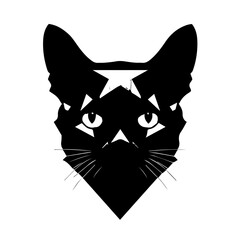 Kitty Vector