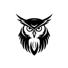 Owl Vector