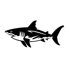 Shark Vector