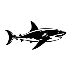 Shark Vector