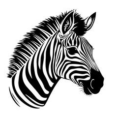 Fototapeta na wymiar Zebra Vector