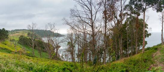 Obraz premium Panoramic photo of cliff on Tereñes beach on the North coast of Spain.