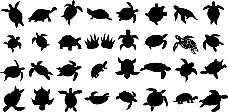 turtle silhouettes Vector illustration, perfect for wildlife education and preservation campaigns. Distinct poses and species, print-ready and digitally usable. Ideal for graphic design projects