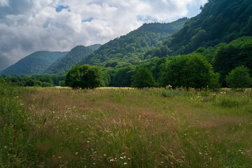 Fototapeta na wymiar View of the territory of the Nizhne-Arkhyz settlement in the valley of the Bolshoy Zelenchuk River, Nizhny Arkhyz, Karachay-Cherkessia, Russia