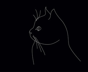 Cat, minimalistic image, white line on black background. Calm, consider, observation, kitten, pet. Vector illustration.