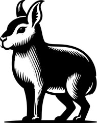 Patagonian Mara icon 8