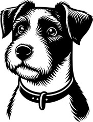 Parson Russell Terrier icon 15