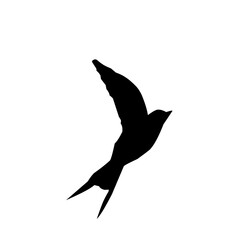 Flying Swallow Silhouette 