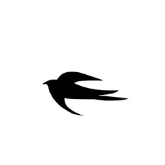 Flying Swallow Silhouette 