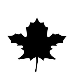 Maple Leaf Silhouette 