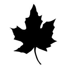 Maple Leaf Silhouette 