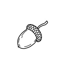 Doodle Sketch Oak Nut Acorn