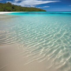 The beach of a tropical island with palms