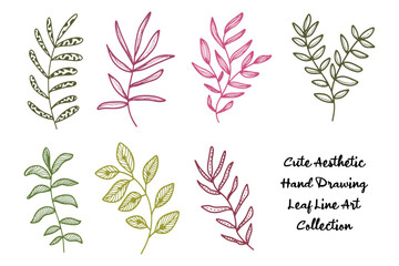 Aesthetic Leaf Line Drawing Collection