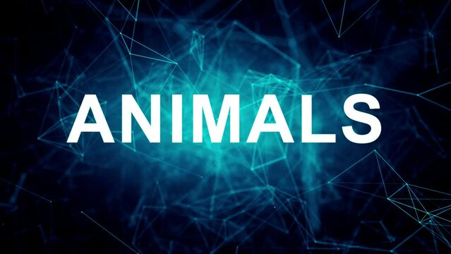 Animated futuristic texts about Pet Photography, Animated futuristic texts about Pet Photography, pets and animals services and animals services
