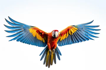 Gordijnen Macaw parrot on a white background. © YULIYA