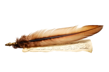 Feather pen with scroll and ink isolated on white background. Generative AI.