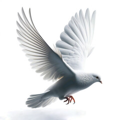 Obraz premium Dove of peace flying with a green twig after flood on a white background
