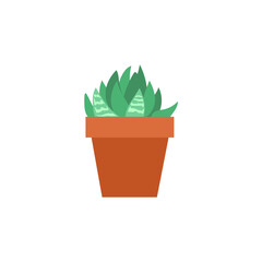 set of plants with brown pots vector