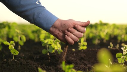 Agriculture. farmer engineer holds soil field hands. agronomist hand soil. soil quality control...