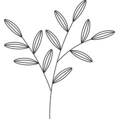 Fototapeta na wymiar Aesthetic Minimalist Leaf