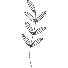 Aesthetic Minimalist Leaf