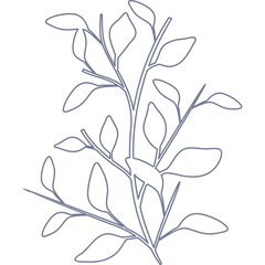 Minimalist Aesthetic Leaf