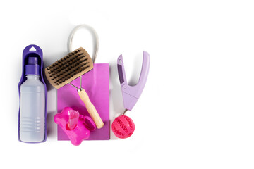 Pet goods, above view of pet care items, grooming tools, white background