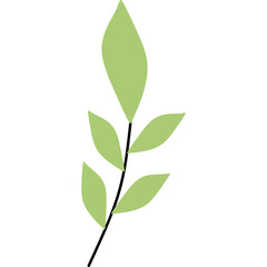 Minimalist Leaf