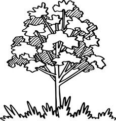 decoration hand drawn tree illustration.