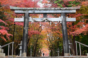 京都市大原野神社の二の鳥居と幻想的な参道