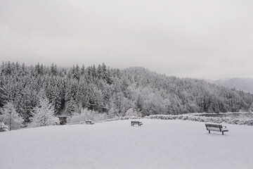 Snowy winter landscape at the Capilano River Regional Park near the Cleveland Dam in North...