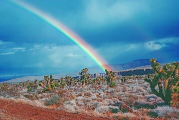 Rainbow in desert, Nevada