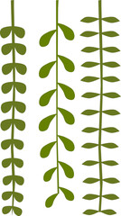 green vine with leaves. © ThanamoNy_Studio287