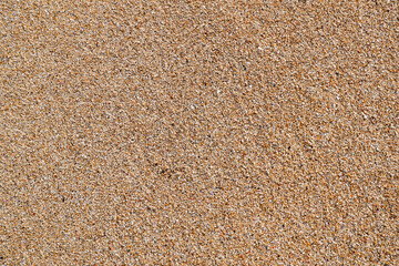 Dry sand texture on the beach. Dry beige sand. Light fine grain sand texture background. Sand close up.