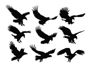 Set silhouettes of wild eagles in flight.
