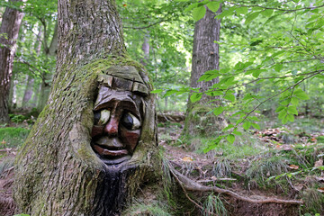 Fototapete bei efototapeten.de bestellen   