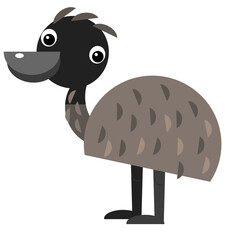 Cartoon australian animal emu on white background illustration for children
