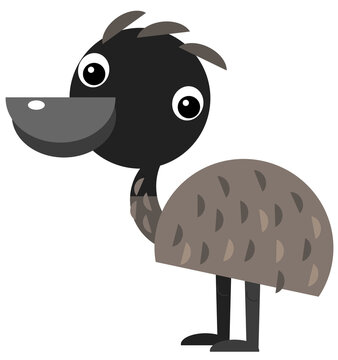 Cartoon australian animal emu on white background illustration for children