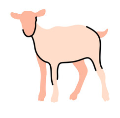 goat hand drawn illustration